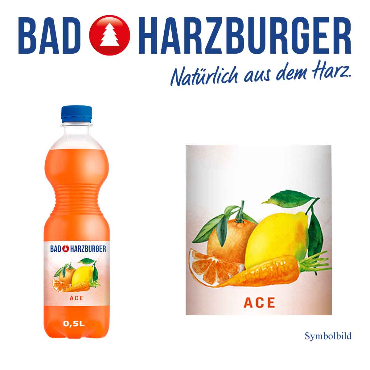 Bad Harzburger ACE (20 x 0,5l)
