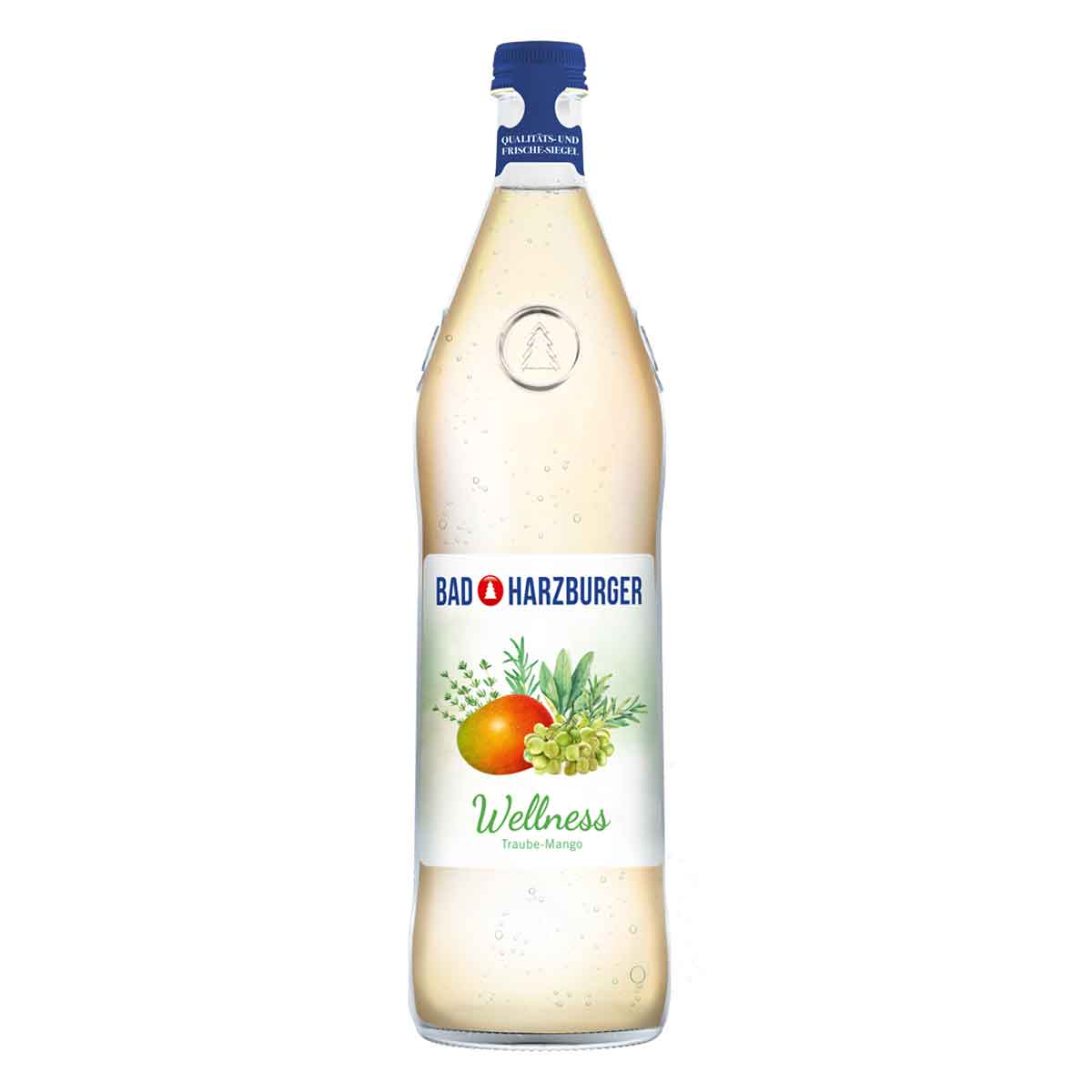 Bad Harzburger Wellness